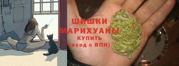 каннабис Новодвинск
