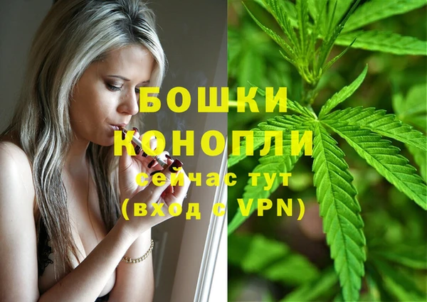 ПСИЛОЦИБИНОВЫЕ ГРИБЫ Новокубанск