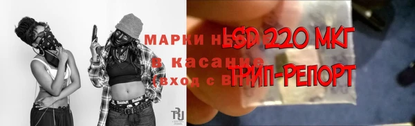 каннабис Новодвинск