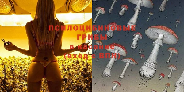 каннабис Новодвинск