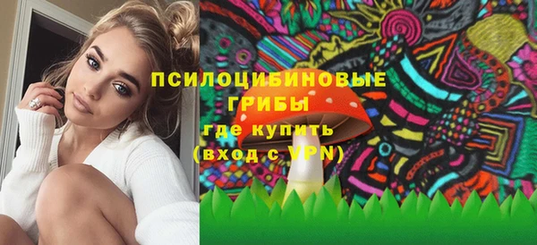 PSILOCYBIN Абдулино